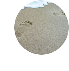 Homepage von Dr. Susanne Schmidt. Sportmedizin | Akupunktur | Chirotherapie