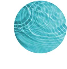 Homepage von Dr. Susanne Schmidt. Sportmedizin | Akupunktur | Chirotherapie